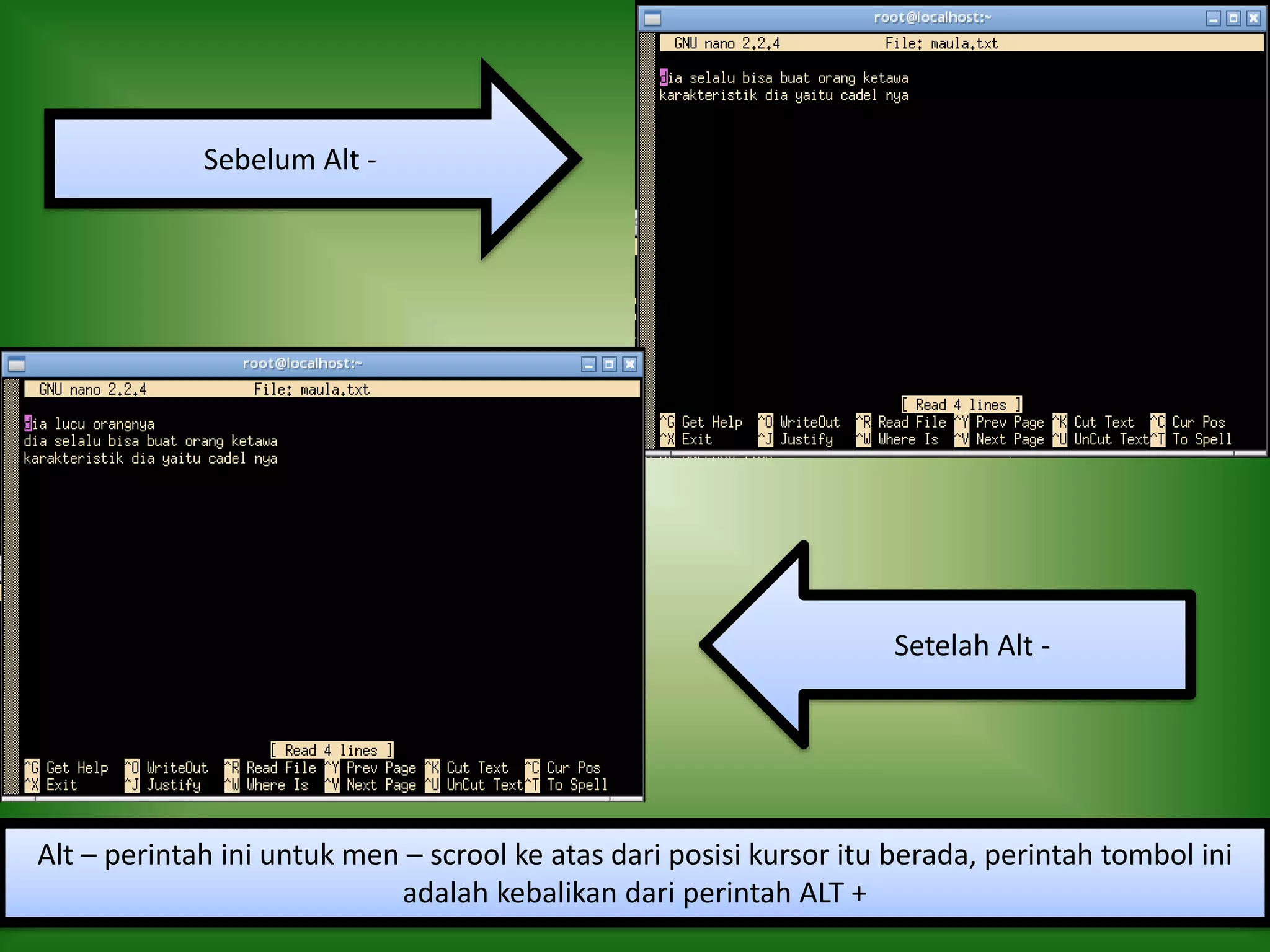 Setelah Alt -
Sebelum Alt -
Alt – perintah ini untuk men – scrool ke atas dari posisi kursor itu berada, perintah tombol ini
adalah kebalikan dari perintah ALT +
 