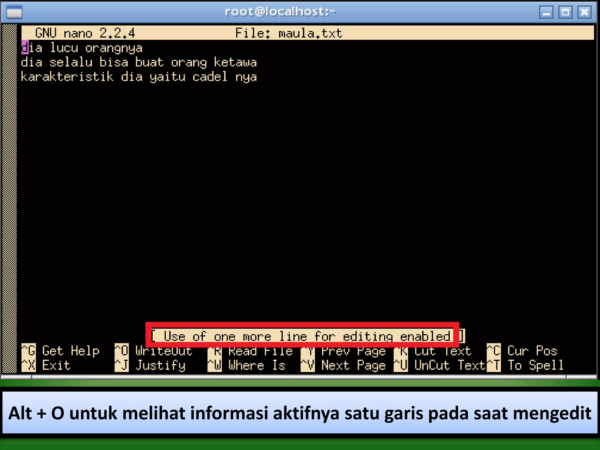 Alt + O untuk melihat informasi aktifnya satu garis pada saat mengedit
 