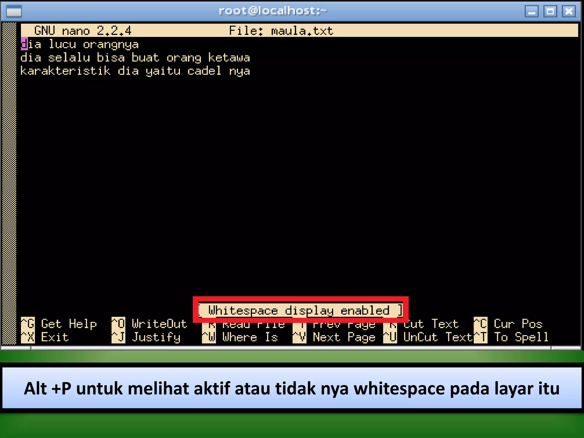 Alt +P untuk melihat aktif atau tidak nya whitespace pada layar itu
 
