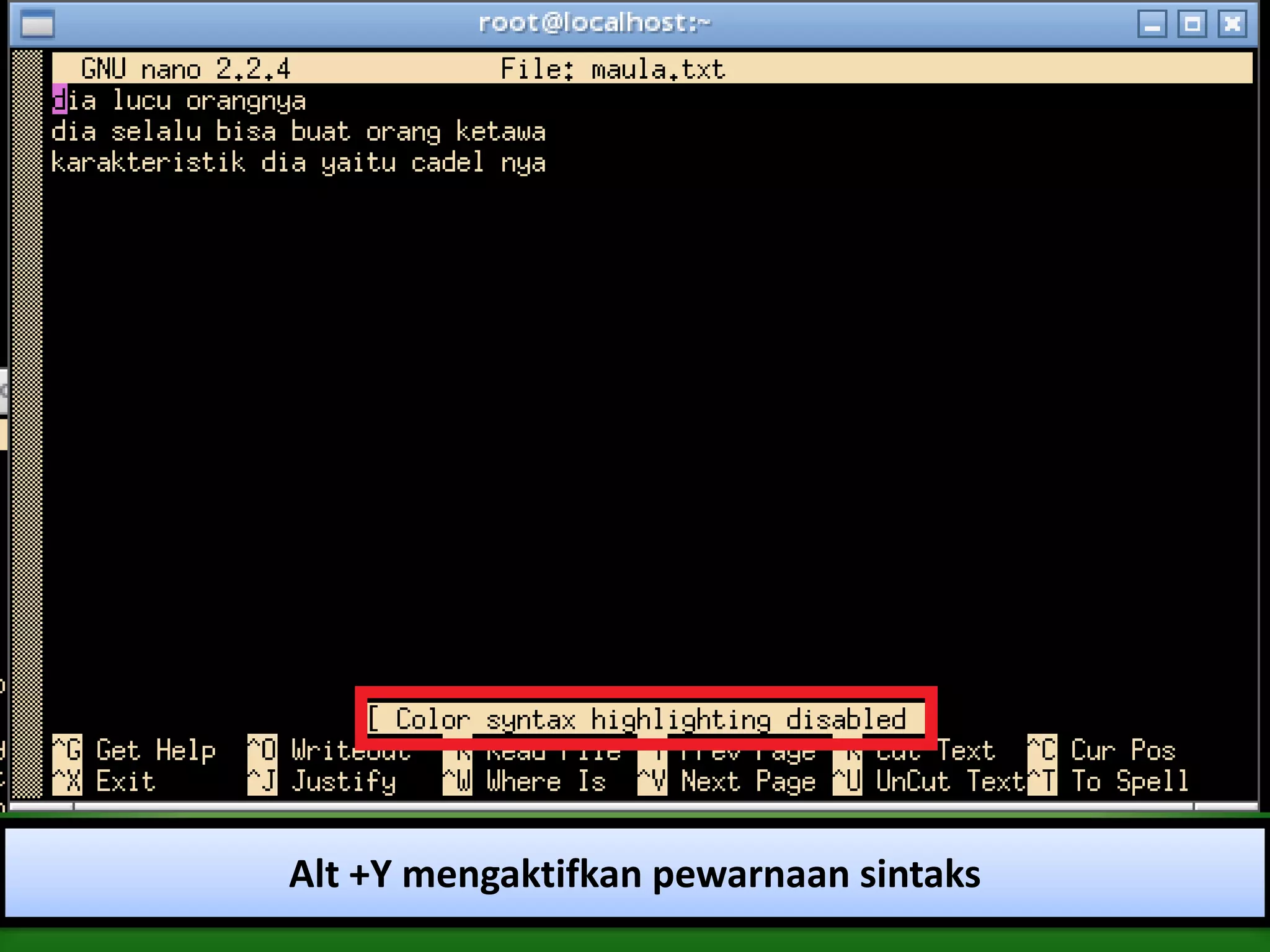 Alt +Y mengaktifkan pewarnaan sintaks
 