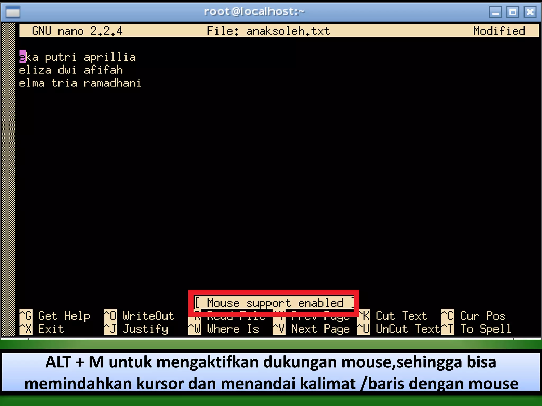 ALT + M untuk mengaktifkan dukungan mouse,sehingga bisa
memindahkan kursor dan menandai kalimat /baris dengan mouse
 