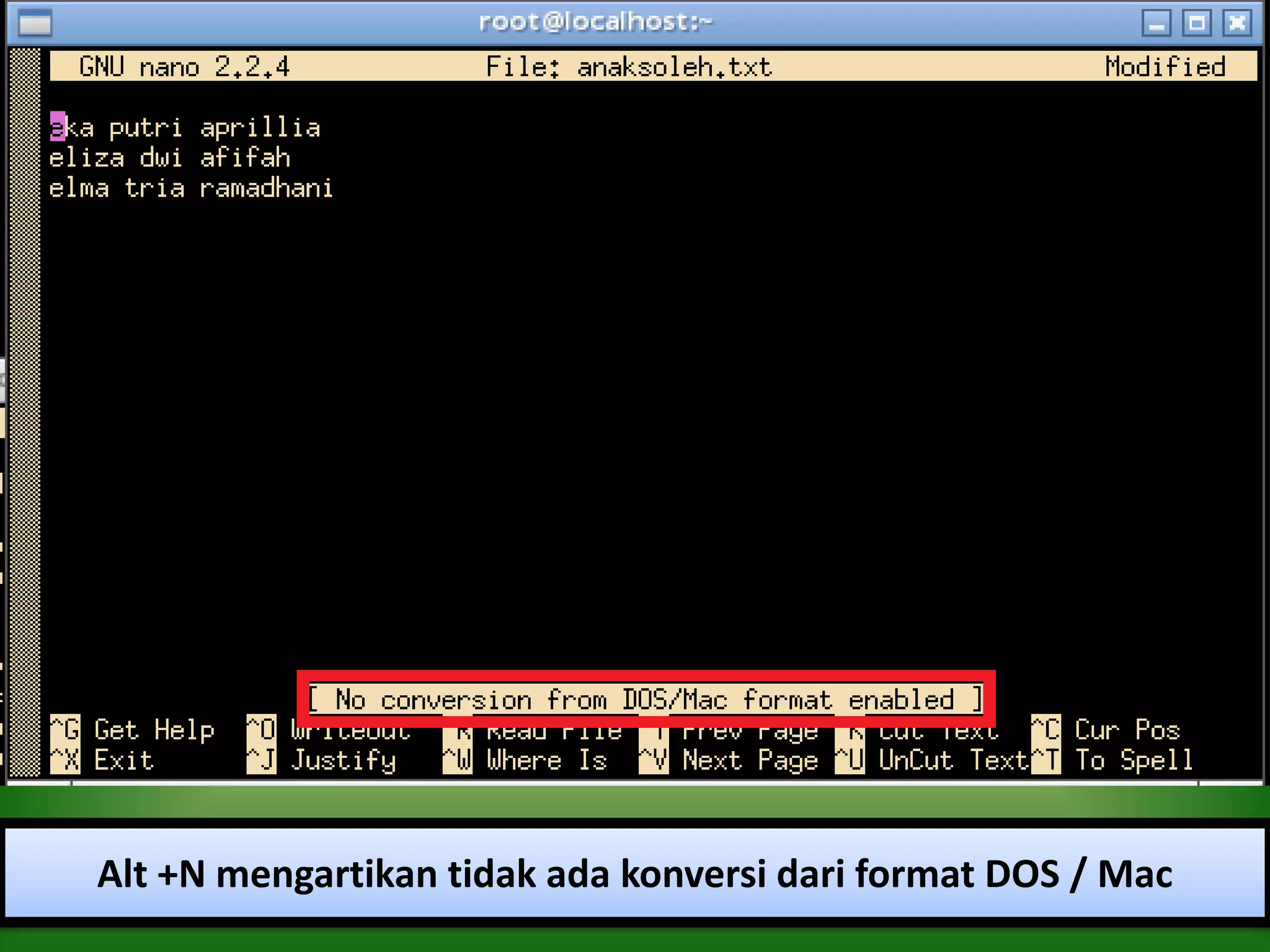 Alt +N mengartikan tidak ada konversi dari format DOS / Mac
 
