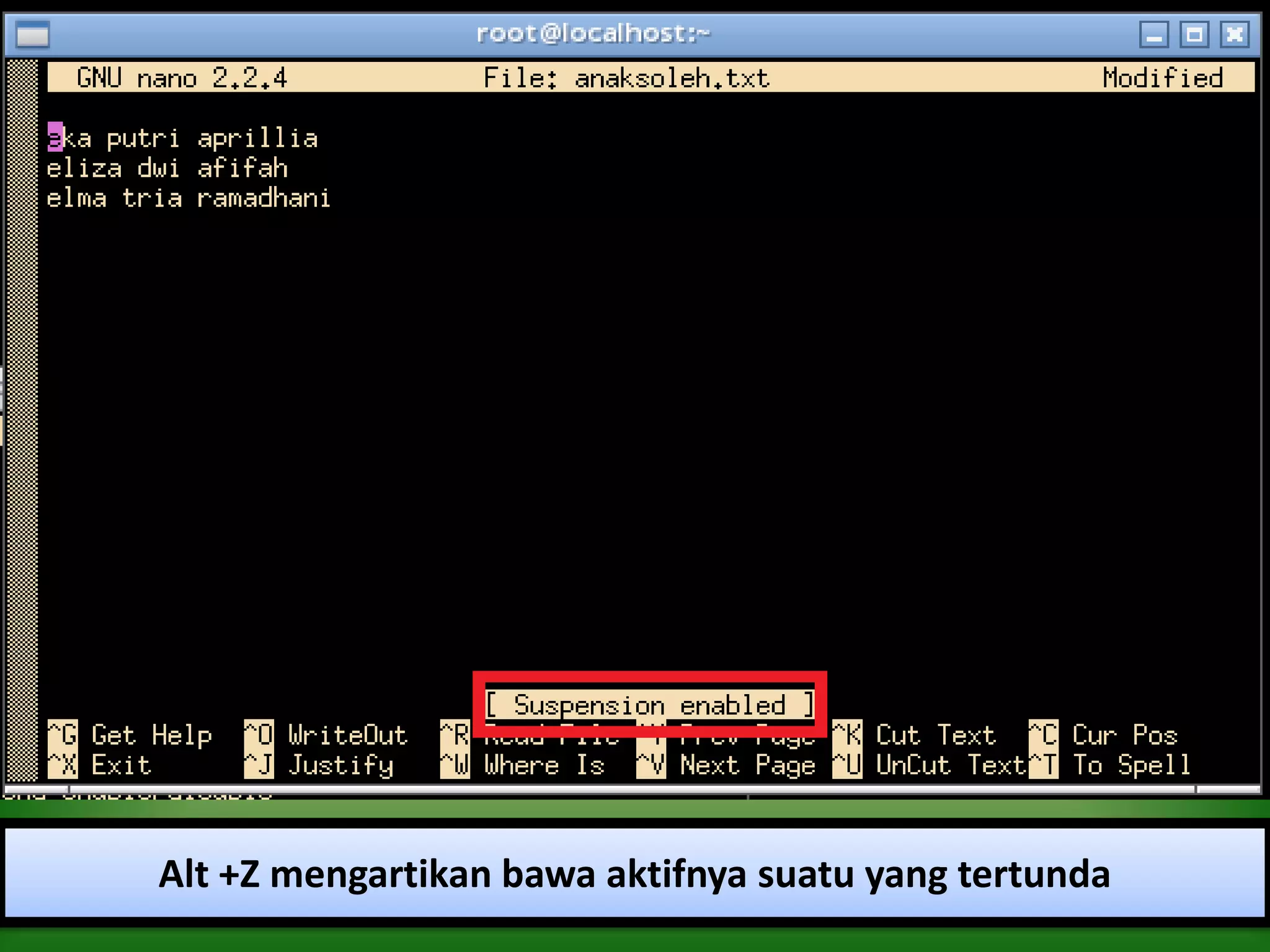 Alt +Z mengartikan bawa aktifnya suatu yang tertunda
 