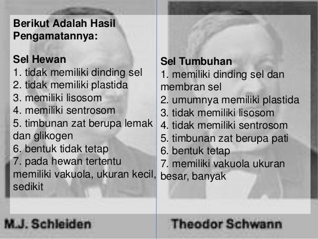 Biologi Xi Ipa Ahli Sel