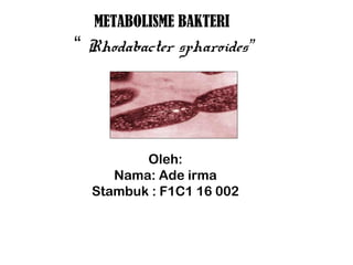 METABOLISME BAKTERI
“ Rhodabacter spharoides”
Oleh:
Nama: Ade irma
Stambuk : F1C1 16 002
 