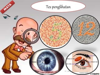 Tes penglihatan
 