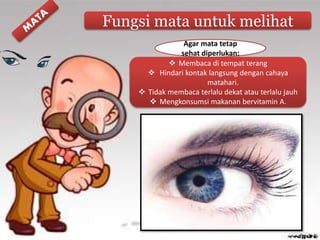 Fungsi mata untuk melihat
 Membaca di tempat terang
 Hindari kontak langsung dengan cahaya
matahari.
 Tidak membaca terlalu dekat atau terlalu jauh
 Mengkonsumsi makanan bervitamin A.
Agar mata tetap
sehat diperlukan:
 