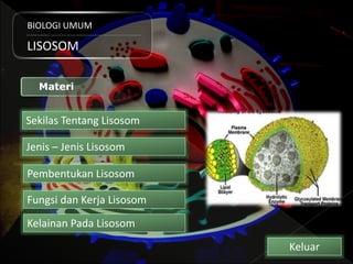 BIOLOGI UMUM
LISOSOM
Sekilas Tentang Lisosom
Jenis – Jenis Lisosom
Pembentukan Lisosom
Fungsi dan Kerja Lisosom
Materi
Keluar
Kelainan Pada Lisosom
 