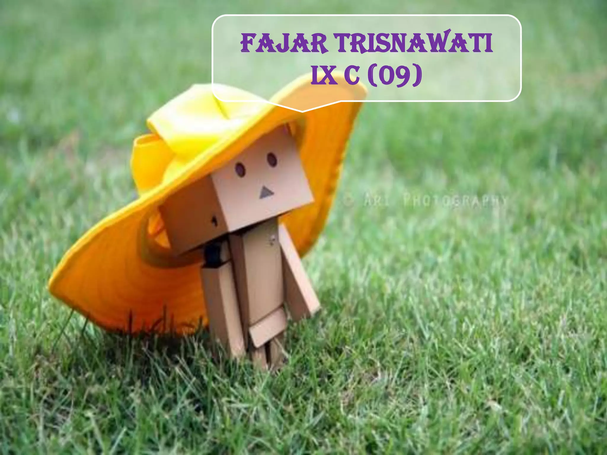 Fajar Trisnawati
    IX C (09)
 