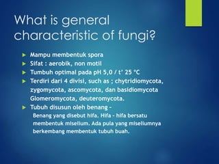 characteristic and structure of fungi | PPTX