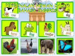 Pengenalan hewan Dalam Bahasa Iggris
 