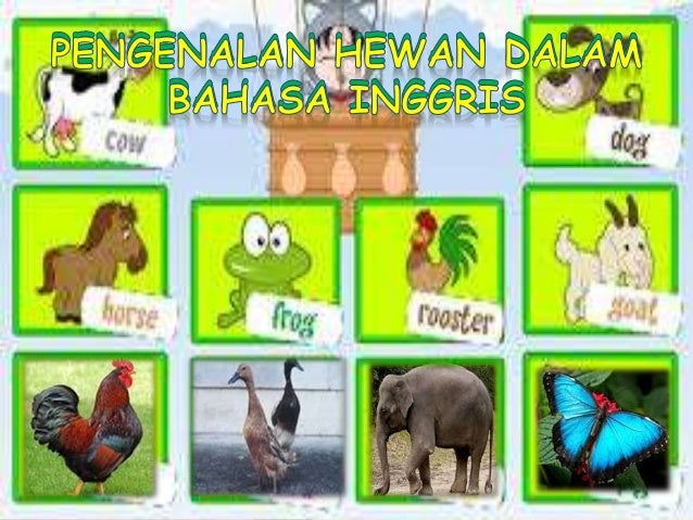 Mengenal hewan dalam bahasa inggris