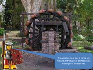 Trouxeram a nora que é como um
moinho. Introduziram plantas como
a laranja e a amendoeira.

 