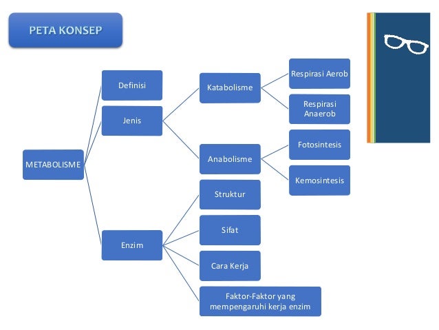 Materi Enzim Dan Metabolisme Kelas Xii Sma Smk