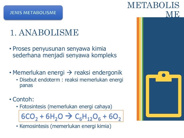 Materi Enzim Dan Metabolisme Kelas Xii Sma Smk