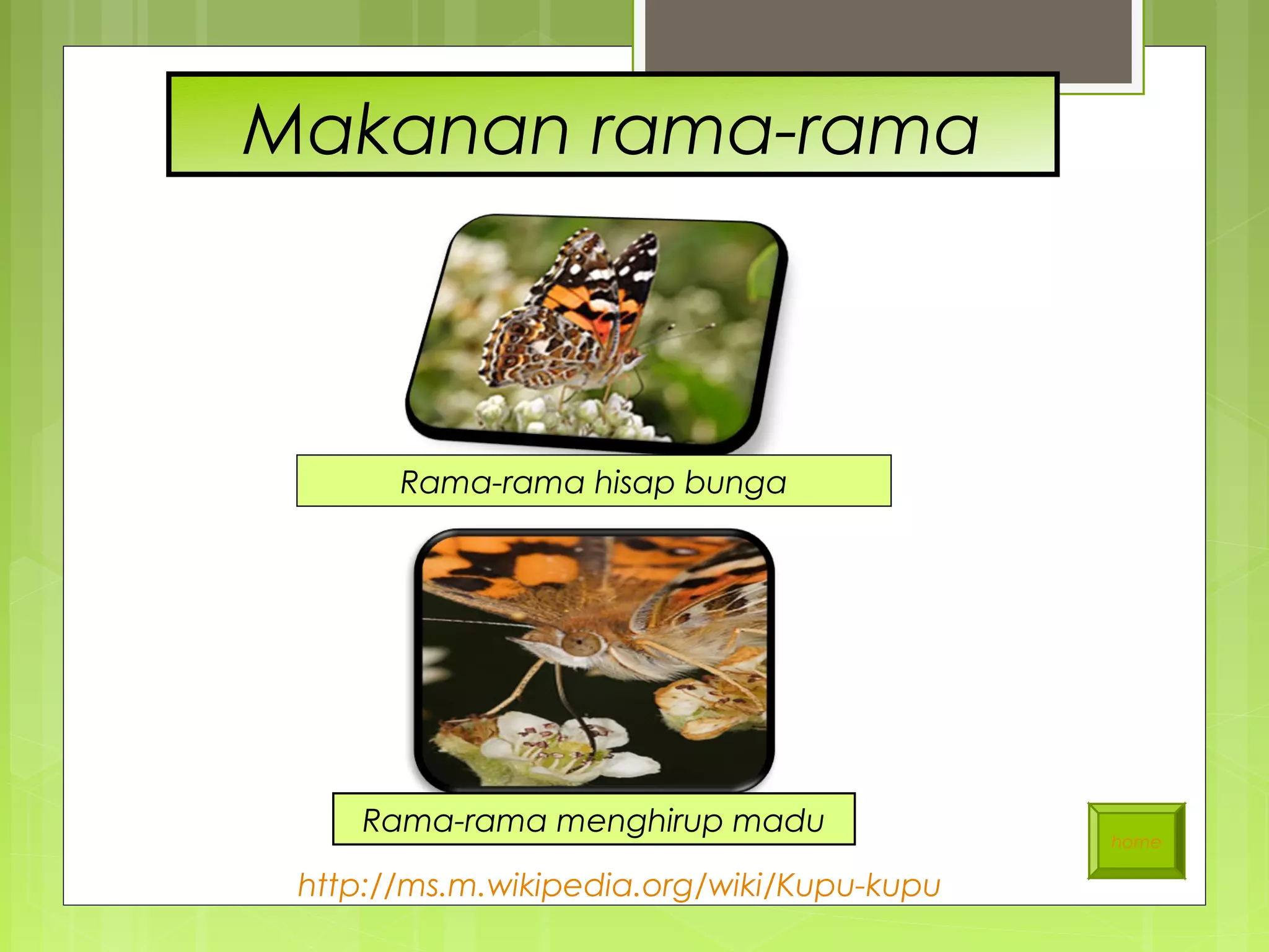 Tugasan 3(a)full slide rpa | PPT