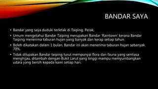 BANDAR SAYA
• Bandar yang saya duduki terletak di Taiping, Perak.
• Umum mengetahui Bandar Taiping merupakan Bandar ‘Raintown’ kerana Bandar
Taiping menerima taburan hujan yang banyak dan kerap setiap tahun.
• Boleh dikatakan dalam 1 bulan, Bandar ini akan menerima taburan hujan sebanyak
70%.
• Tidak dilupakan Bandar taiping turut mempunyai flora dan fauna yang sentiasa
menghijau, ditambah dengan Bukit Larut yang tinggi mampu memyumbangkan
udara yang bersih kepada kami setiap hari.
 