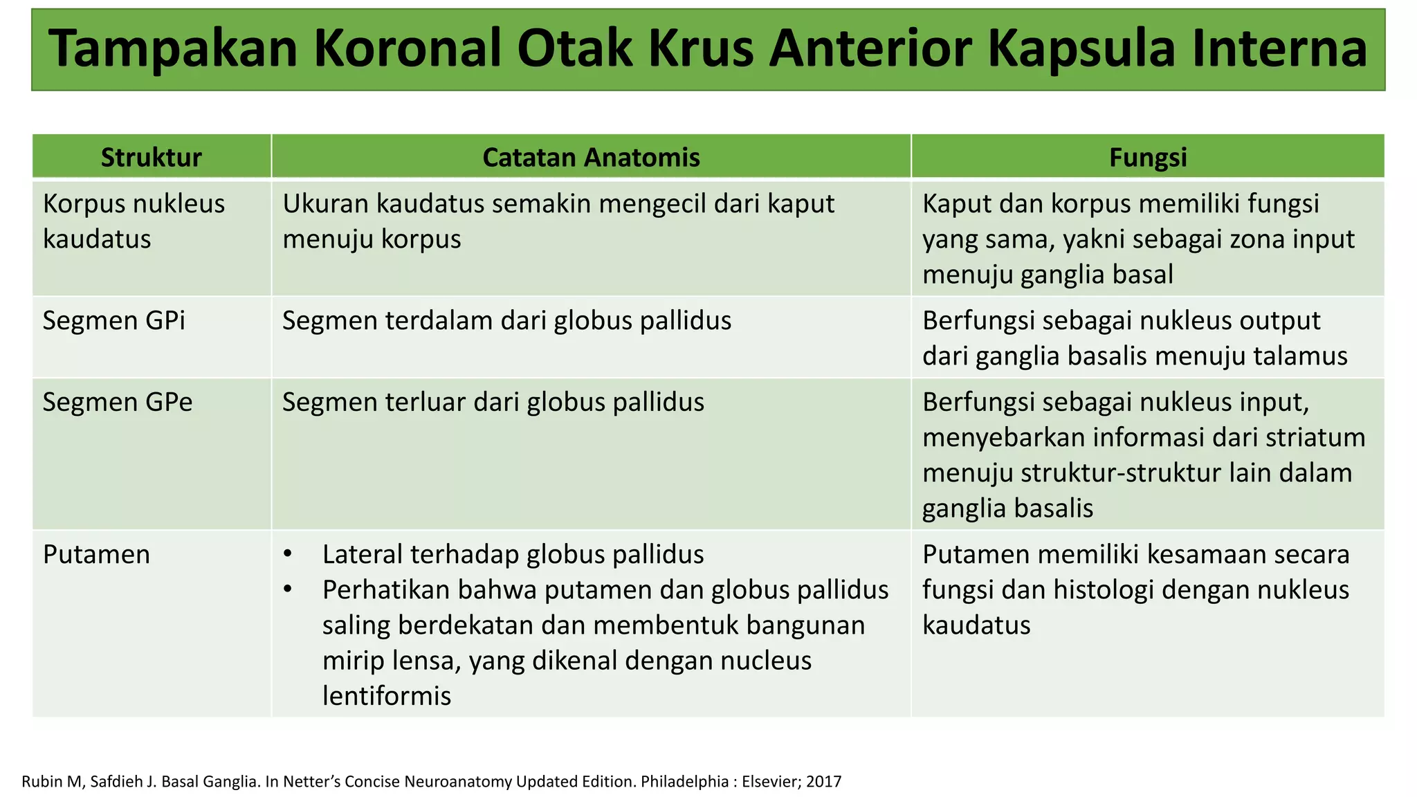 Tugas Anatomi ISMT - Regina Melia - Basal Ganglia.pptx