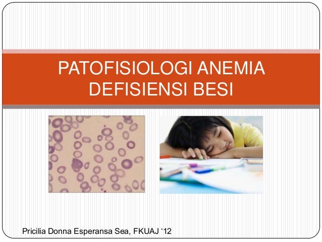 patofisiologi anemia  defisiensi besi