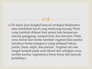  
 Di dasar laut dangkal banyak terdapat fitoplanton 
atau tumbuhan kecil yang melayang-layang. Flora 
yang tumbuh didasar laut antara lain bermacam-macam 
ganggang, rumput laut, dan lain-lain. Pada 
zona litoral dan neritis tumbuh vegetasi khas pantai 
misalnya hutan mangrove yang meliputi bakau, 
perdu, liana, efipit, dan parasit.. Vegetasi air asin 
sangat tampak pada zona litoral dan sebagian zona 
nertitis karena vegetasinya besar-besar dan banyak 
jumlahnya 
 