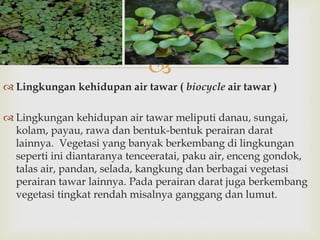  
 Lingkungan kehidupan air tawar ( biocycle air tawar ) 
 Lingkungan kehidupan air tawar meliputi danau, sungai, 
kolam, payau, rawa dan bentuk-bentuk perairan darat 
lainnya. Vegetasi yang banyak berkembang di lingkungan 
seperti ini diantaranya tenceeratai, paku air, enceng gondok, 
talas air, pandan, selada, kangkung dan berbagai vegetasi 
perairan tawar lainnya. Pada perairan darat juga berkembang 
vegetasi tingkat rendah misalnya ganggang dan lumut. 
 