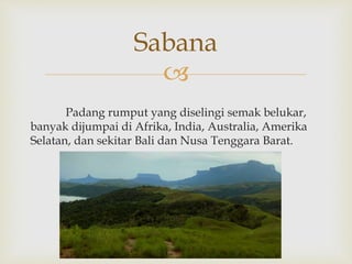 Sabana 
 
Padang rumput yang diselingi semak belukar, 
banyak dijumpai di Afrika, India, Australia, Amerika 
Selatan, dan sekitar Bali dan Nusa Tenggara Barat. 
 