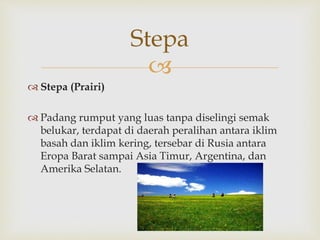 Stepa 
 
 Stepa (Prairi) 
 Padang rumput yang luas tanpa diselingi semak 
belukar, terdapat di daerah peralihan antara iklim 
basah dan iklim kering, tersebar di Rusia antara 
Eropa Barat sampai Asia Timur, Argentina, dan 
Amerika Selatan. 
 