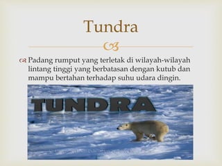 Tundra 
 
 Padang rumput yang terletak di wilayah-wilayah 
lintang tinggi yang berbatasan dengan kutub dan 
mampu bertahan terhadap suhu udara dingin. 
 