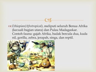  
 Ethiopian(Afrotropical), meliputi seluruh Benua Afrika 
(kecuali bagian utara) dan Pulau Madagaskar. 
Contoh fauna: gajah Afrika, badak bercula dua, kuda 
nil, gorilla, zebra, jerapah, singa, dan reptil. 
 