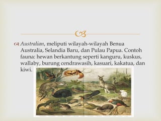  
 Australian, meliputi wilayah-wilayah Benua 
Australia, Selandia Baru, dan Pulau Papua. Contoh 
fauna: hewan berkantung seperti kanguru, kuskus, 
wallaby, burung cendrawasih, kasuari, kakatua, dan 
kiwi. 
 