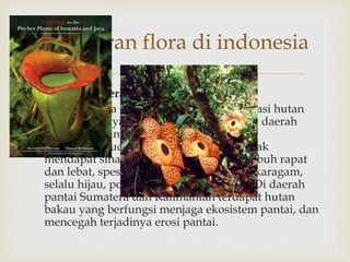 Pesebaran flora di indonesia 
 
 Flora Sumatera – Kalimantan 
 Keadaan flora pada wilayah ini di dominasi hutan 
hujan tropis, yaitu hutan yang tumbuh di daerah 
yang mempunyai curah hujan, suhu, dan 
kelembaban udara yang tinggi, dan banyak 
mendapat sinar matahari, pohonnya tumbuh rapat 
dan lebat, spesiesnya banyak dan beranekaragam, 
selalu hijau, pohonnya besar dan tinggi. Di daerah 
pantai Sumatera dan Kalimantan terdapat hutan 
bakau yang berfungsi menjaga ekosistem pantai, dan 
mencegah terjadinya erosi pantai. 
 