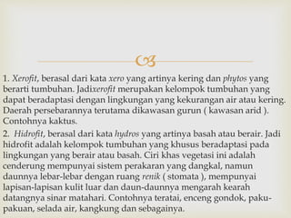  
1. Xerofit, berasal dari kata xero yang artinya kering dan phytos yang 
berarti tumbuhan. Jadixerofit merupakan kelompok tumbuhan yang 
dapat beradaptasi dengan lingkungan yang kekurangan air atau kering. 
Daerah persebarannya terutama dikawasan gurun ( kawasan arid ). 
Contohnya kaktus. 
2. Hidrofit, berasal dari kata hydros yang artinya basah atau berair. Jadi 
hidrofit adalah kelompok tumbuhan yang khusus beradaptasi pada 
lingkungan yang berair atau basah. Ciri khas vegetasi ini adalah 
cenderung mempunyai sistem perakaran yang dangkal, namun 
daunnya lebar-lebar dengan ruang renik ( stomata ), mempunyai 
lapisan-lapisan kulit luar dan daun-daunnya mengarah kearah 
datangnya sinar matahari. Contohnya teratai, enceng gondok, paku-pakuan, 
selada air, kangkung dan sebagainya. 
 