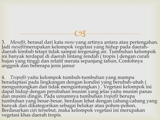  
3. Mesofit, berasal dari kata meso yang artinya antara atau pertengahan. 
Jadi mesofitmerupakan kelompok vegetasi yang hidup pada daerah-daerah 
lembab tetapi tidak sampai tergenang air. Tumbuhan kelompok 
ini banyak terdapat di daerah lintang rendah ( tropis ) dengan curah 
hujan yang tinggi dan relatif merata sepanjang tahun, Contohnya 
anggrek dan beberapa jenis jamur 
4. Tropofit yaitu kelompok tumbuh-tumbuhan yang mampu 
beradaptasi pada lingkungan dengan kondisi yang berubah-ubah ( 
menguntungkan dan tidak menguntungkan ) . Vegetasi kelompok ini 
dapat hidup dengan perubahan musim yang jelas yaitu musim panas 
dan musim dingin. Pada umumnya tumbuhan tropofit berupa 
tumbuhan yang besar-besar, berdaun lebat dengan cabang-cabang yang 
banyak dan dikategorikan sebagai belukar atau pohon-pohon. 
Berdasarkan ciri tersebut, maka kelompok vegetasi ini merupakan 
vegetasi khas daerah tropis. 
 