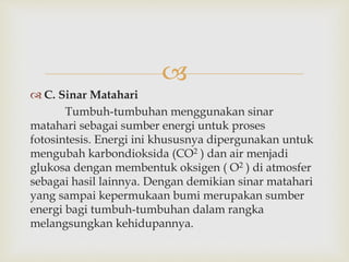  
 C. Sinar Matahari 
Tumbuh-tumbuhan menggunakan sinar 
matahari sebagai sumber energi untuk proses 
fotosintesis. Energi ini khususnya dipergunakan untuk 
mengubah karbondioksida (CO2 ) dan air menjadi 
glukosa dengan membentuk oksigen ( O2 ) di atmosfer 
sebagai hasil lainnya. Dengan demikian sinar matahari 
yang sampai kepermukaan bumi merupakan sumber 
energi bagi tumbuh-tumbuhan dalam rangka 
melangsungkan kehidupannya. 
 