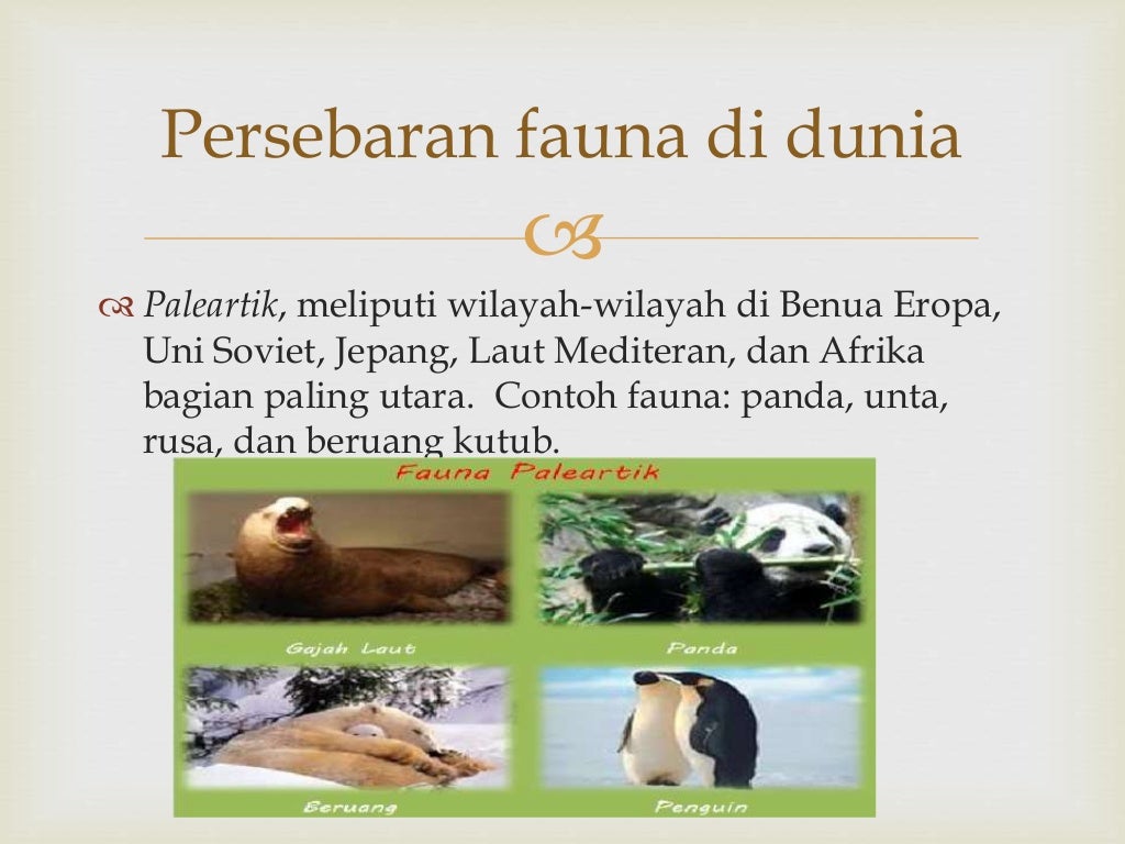 Materi Biosfer BAB 1 kelas XI IPS