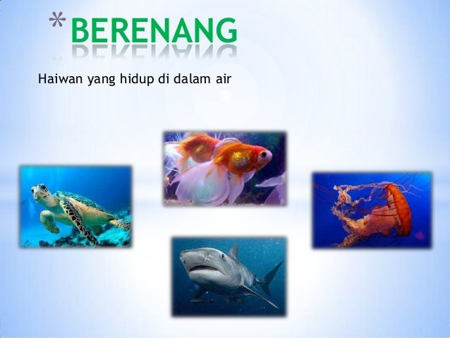 Haiwan yang hidup di dalam air
*BERENANG
 