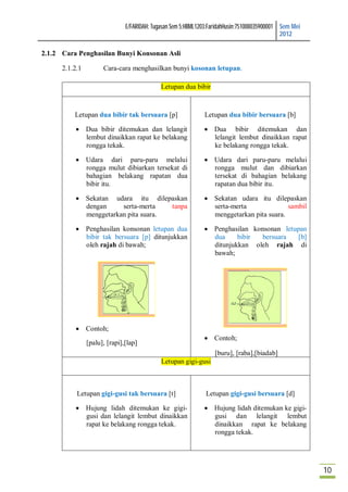 E/FARIDAH: Tugasan Sem 5:HBML1203:FaridahHusin:751008035900001 Sem Mei
                                                                                              2012

2.1.2 Cara Penghasilan Bunyi Konsonan Asli

      2.1.2.1         Cara-cara menghasilkan bunyi kosonan letupan.

                                             Letupan dua bibir



          Letupan dua bibir tak bersuara [p]                  Letupan dua bibir bersuara [b]

           Dua bibir ditemukan dan lelangit                   Dua bibir ditemukan dan
            lembut dinaikkan rapat ke belakang                  lelangit lembut dinaikkan rapat
            rongga tekak.                                       ke belakang rongga tekak.

           Udara dari paru-paru melalui                       Udara dari paru-paru melalui
            rongga mulut dibiarkan tersekat di                  rongga mulut dan dibiarkan
            bahagian belakang rapatan dua                       tersekat di bahagian belakang
            bibir itu.                                          rapatan dua bibir itu.

           Sekatan udara itu dilepaskan                       Sekatan udara itu dilepaskan
            dengan     serta-merta   tanpa                      serta-merta              sambil
            menggetarkan pita suara.                            menggetarkan pita suara.

           Penghasilan konsonan letupan dua                   Penghasilan konsonan letupan
            bibir tak bersuara [p] ditunjukkan                  dua     bibir  bersuara   [b]
            oleh rajah di bawah;                                ditunjukkan oleh rajah di
                                                                bawah;




           Contoh;
                                                               Contoh;
                [palu], [rapi],[lap]
                                                                  [buru], [raba],[biadab]
                                             Letupan gigi-gusi



           Letupan gigi-gusi tak bersuara [t]                  Letupan gigi-gusi bersuara [d]

           Hujung lidah ditemukan ke gigi-                    Hujung lidah ditemukan ke gigi-
            gusi dan lelangit lembut dinaikkan                  gusi dan lelangit lembut
            rapat ke belakang rongga tekak.                     dinaikkan rapat ke belakang
                                                                rongga tekak.




                                                                                                        10
 