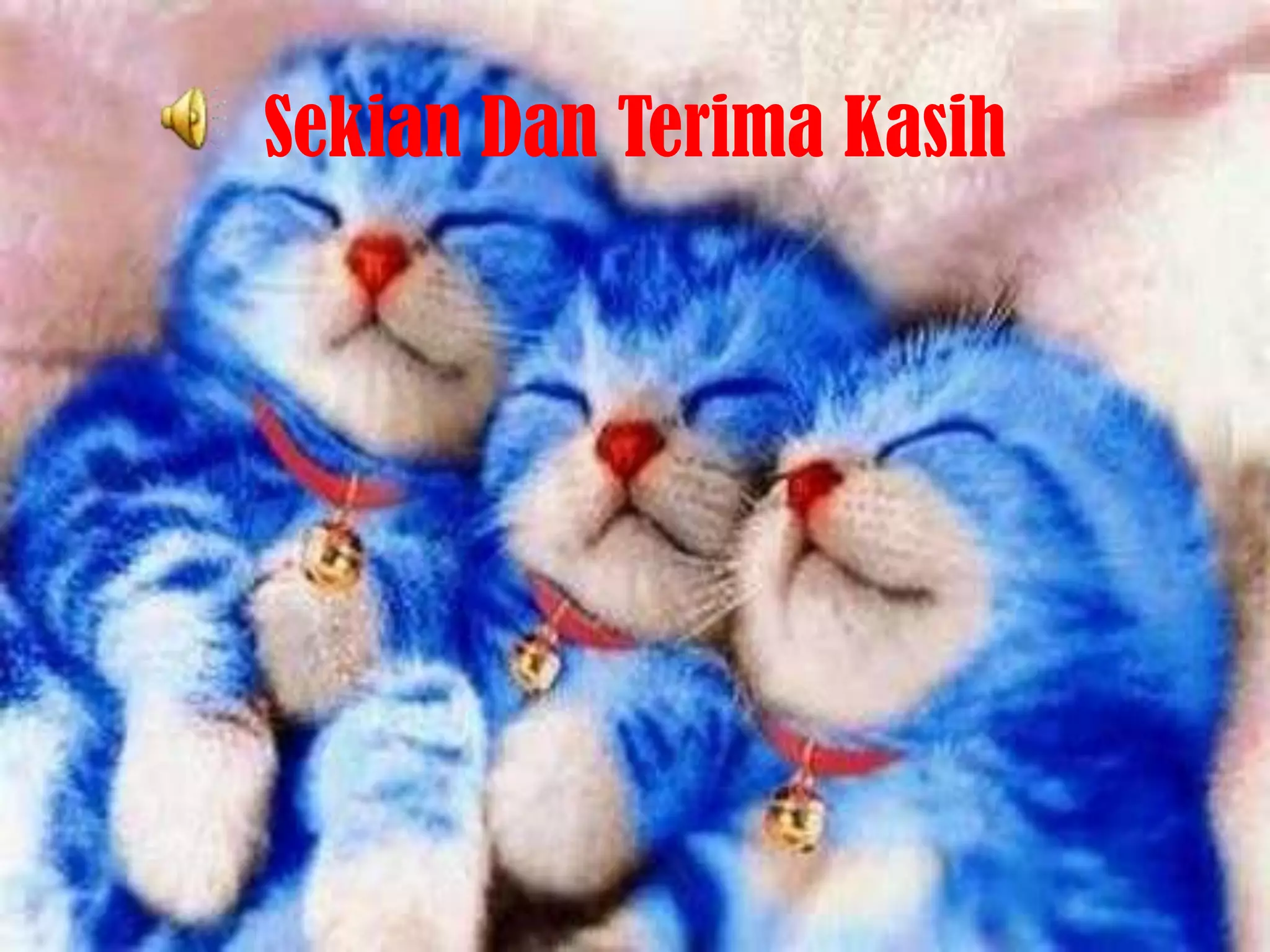 Sekian Dan Terima Kasih
 