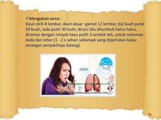 Mengobati asma :
Daun sirih 8 lembar, daun akaar -gamat 12 lembar, biji buah putat
20 buah, lada putih 30 butir, dicuci lalu ditumbuk halus-halus,
diramas dengan minyak kayu putih 3 sendok teh, untuk melumas
dada dan leher (1 - 2 x sehari sebanyak yang diperlukan kalau
serangan penyakitnya datang).
10
 