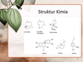 Struktur Kimia
3
 