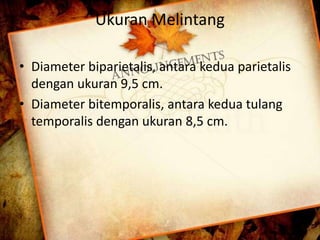 Ukuran Melintang 
• Diameter biparietalis, antara kedua parietalis 
dengan ukuran 9,5 cm. 
• Diameter bitemporalis, antara kedua tulang 
temporalis dengan ukuran 8,5 cm. 
 