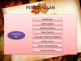 PEMBAHASAN 
Tengkorak 
Bayi 
Definisi bayi 
Definisi kepala 
Splachno Cranium 
Neuro Cranium 
Hubungan tulang dan tengkorak 
Gambar sutura 
Ukuran tulang belakang 
Ukuran melintang 
 