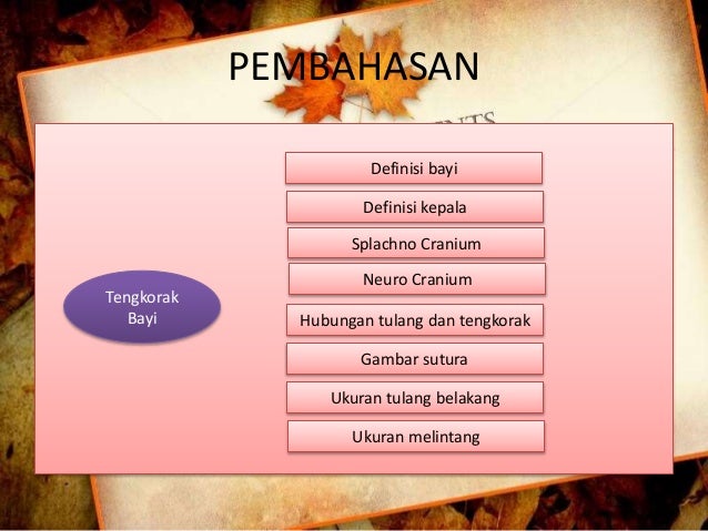 Tengkorak bayi