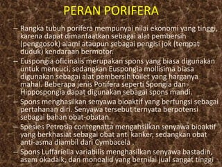 PERAN PORIFERA
– Rangka tubuh porifera mempunyai nilai ekonomi yang tinggi,
karena dapat dimanfaatkan sebagai alat pembersih
(penggosok) alami ataupun sebagai pengisi jok (tempat
duduk) kendaraan bermotor.
– Euspongia oficinalis merupakan spons yang biasa digunakan
untuk mencuci, sedangkan Euspongia mollisima biasa
digunakan sebagai alat pembersih toilet yang harganya
mahal. Beberapa jenis Porifera seperti Spongia dan
Hippospongia dapat digunakan sebagai spons mandi.
– Spons menghasilkan senyawa bioaktif yang berfungsi sebagai
pertahanan diri. Senyawa tersebut ternyata berpotensi
sebagai bahan obat-obatan.
– Spesies Petrosia contegnatta mengahsilkan senyawa bioaktif
yang berkhasiat sebagai obat anti kanker, sedangkan obat
anti-asma diambil dari Cymbacela .
– Spons Luffariella variabilis menghasilkan senyawa bastadin,
asam okadaik, dan monoalid yang bernilai jual sangat tinggi
 