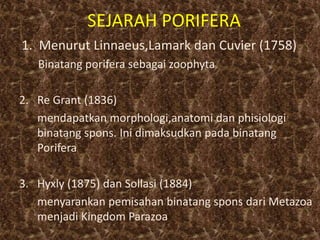 SEJARAH PORIFERA
1. Menurut Linnaeus,Lamark dan Cuvier (1758)
Binatang porifera sebagai zoophyta
2. Re Grant (1836)
mendapatkan morphologi,anatomi dan phisiologi
binatang spons. Ini dimaksudkan pada binatang
Porifera
3. Hyxly (1875) dan Sollasi (1884)
menyarankan pemisahan binatang spons dari Metazoa
menjadi Kingdom Parazoa
 