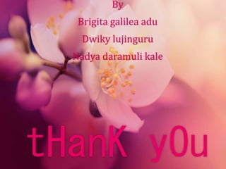 By 
Brigita galilea adu 
Dwiky lujinguru 
Nadya daramuli kale 
tHanK yOu 
