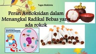 Peran Antioksidan dalam
Menangkal Radikal Bebas yang
ada rokok
Tugas Biokimia
 
