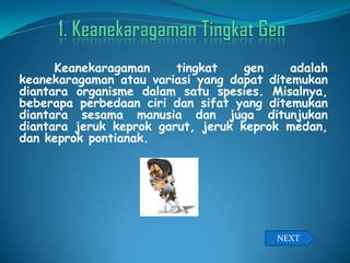 Keanekaragaman tingkat gen adalah
keanekaragaman atau variasi yang dapat ditemukan
diantara organisme dalam satu spesies. Misalnya,
beberapa perbedaan ciri dan sifat yang ditemukan
diantara sesama manusia dan juga ditunjukan
diantara jeruk keprok garut, jeruk keprok medan,
dan keprok pontianak.
NEXT
 