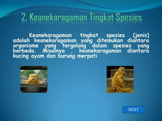 Keanekaragaman tingkat spesies (jenis)
adalah keanekaragaman yang ditemukan diantara
organisme yang tergolong dalam spesies yang
berbeda. Misalnya , keanekaragaman diantara
kucing ayam dan burung merpati
NEXT
 