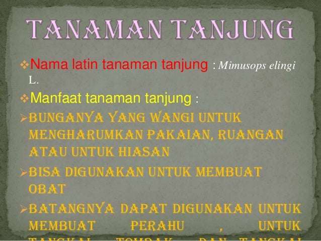 Nama Lati Dan Divisi Pakis Nama Lati Dan Divisi Pakis